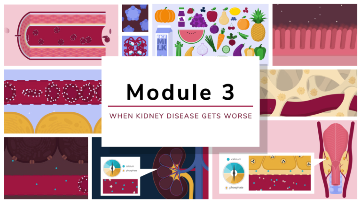Kidney Disease Education Module 3 When Kidney Disease Gets Worse